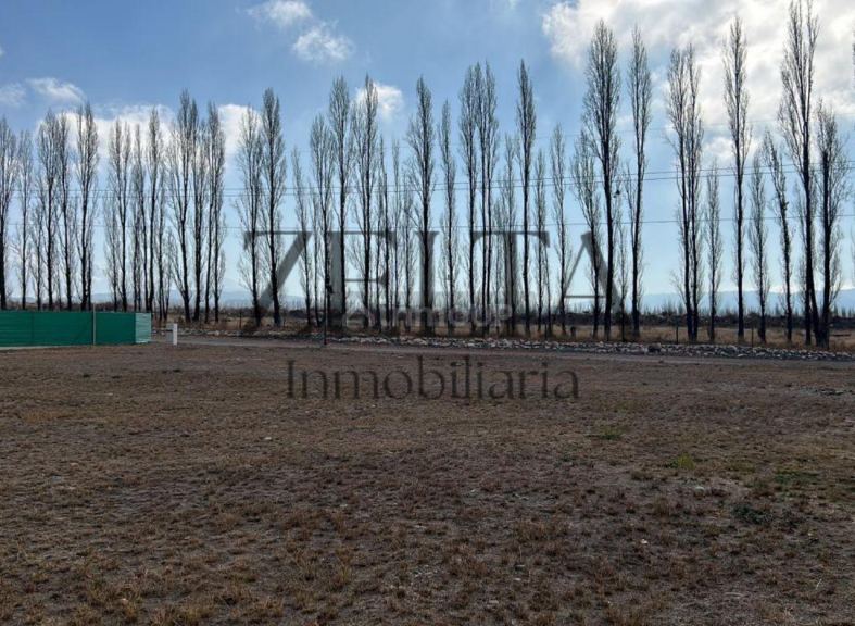 Terreno en Venta en Tupungato, Mendoza