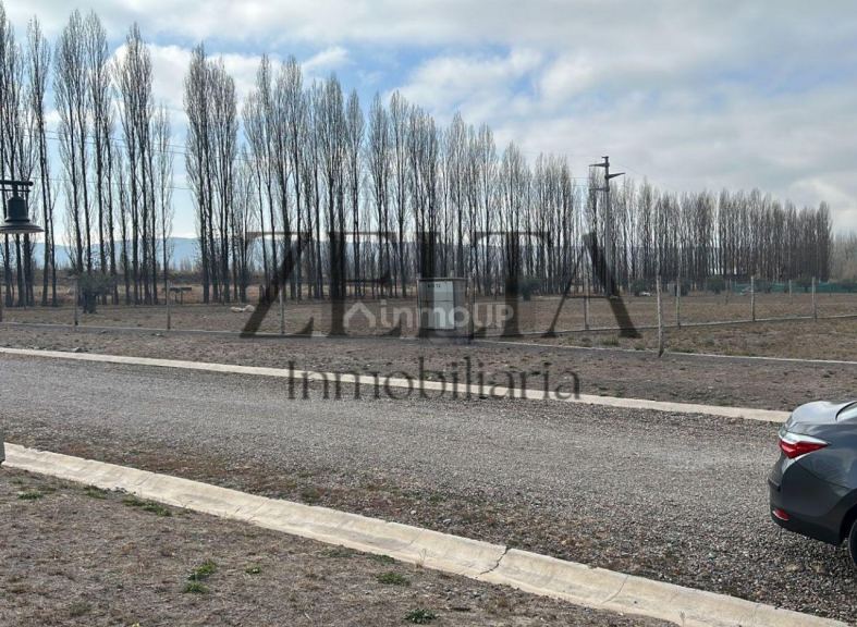 Terreno en Venta en Tupungato, Mendoza