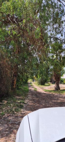 Lote en Venta en Maipu, Mendoza