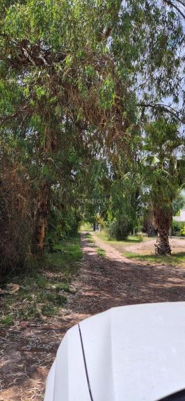 Lote en Venta en Maipu, Mendoza