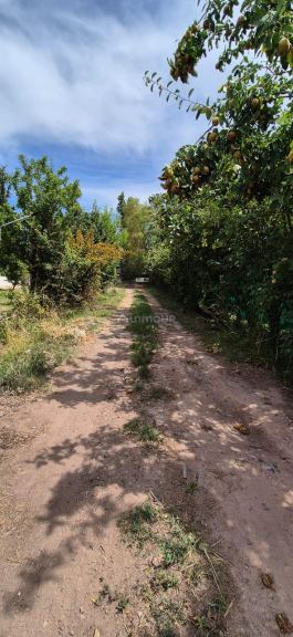 Lote en Venta en Maipu, Mendoza