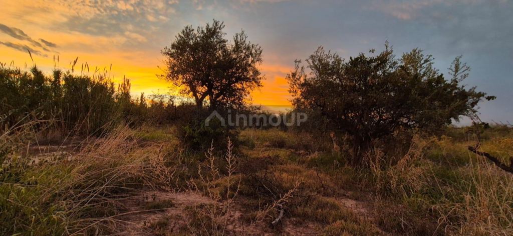 Lote en Venta en Maipu, Mendoza