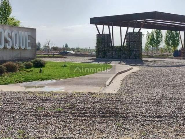 Lote en Venta en Maipu, Mendoza