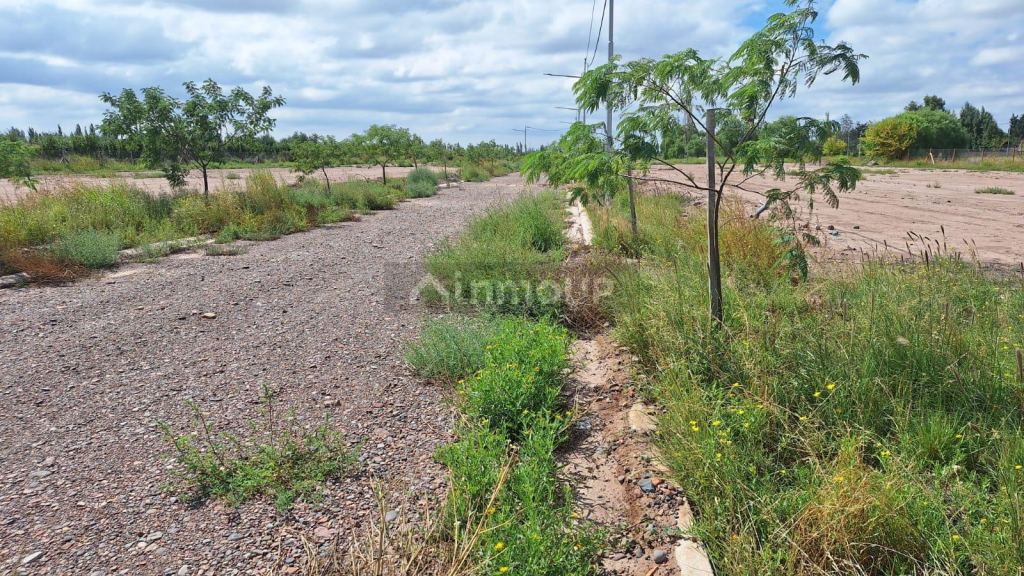 Lote en Venta en Maipu, Mendoza