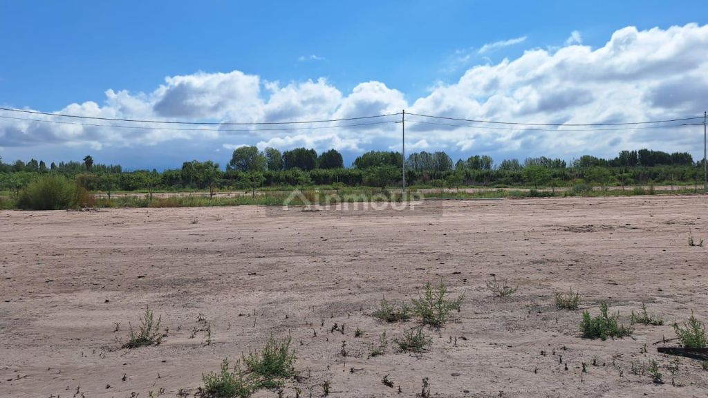 Lote en Venta en Maipu, Mendoza