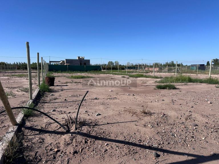 Lote en Venta en Lujan de Cuyo, Mendoza
