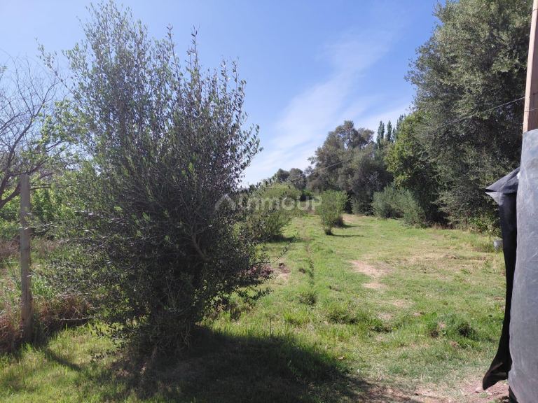 Casa en Venta en Maipu, Mendoza - USD 75.000 | Inmoup - 12