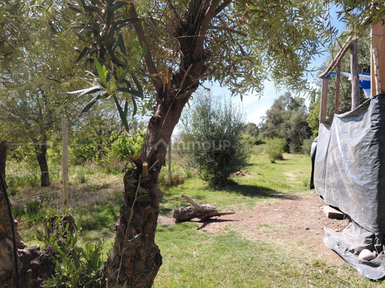 Casa en Venta en Maipu, Mendoza - USD 75.000 | Inmoup - 15