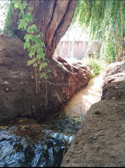 Terreno en Venta en Lujan de Cuyo, Mendoza - USD 110.000 | Inmoup - 11