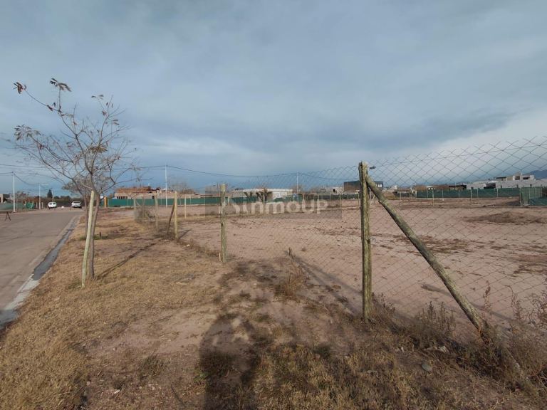 Terreno en Venta en Lujan de Cuyo, Mendoza - USD 35.000 | Inmoup - 11