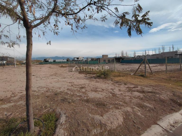 Lujan de Cuyo Terrada al 3300 Lote Barrio Privado Acacias de Terrada