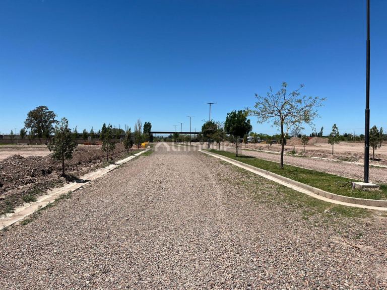 Lote en Venta en Maipu, Mendoza