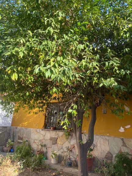 Lote en Venta en Capital, Mendoza