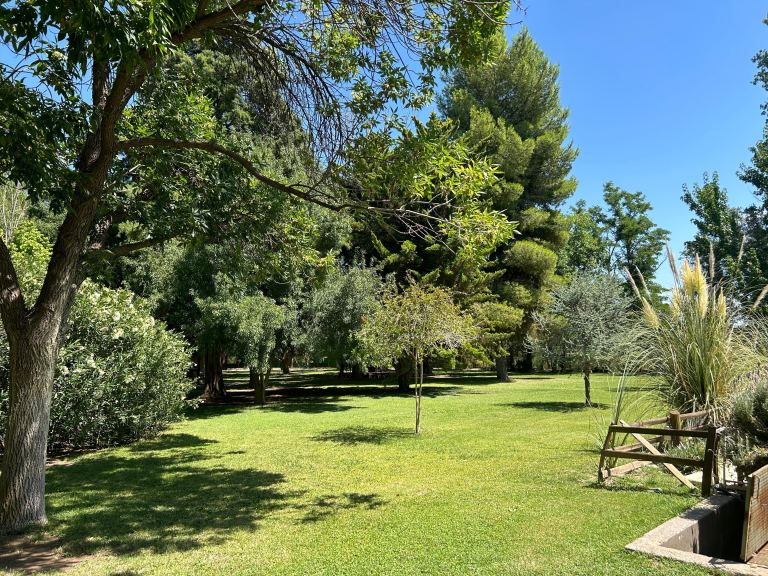 Casa en Alquiler en Rivadavia, Mendoza
