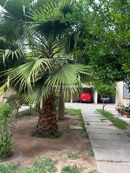 Departamento en Alquiler en Las Heras, Mendoza