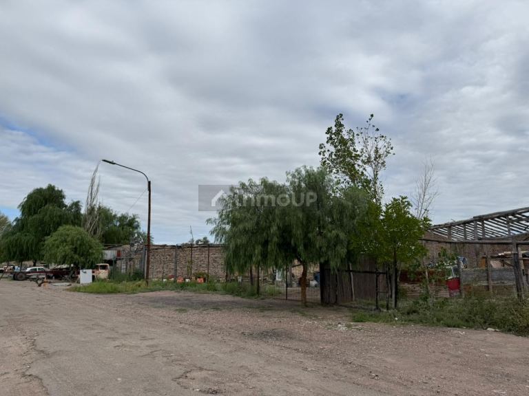 Lote en Venta en San Martin, Mendoza