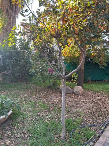 Casa en Venta en Las Heras, Mendoza