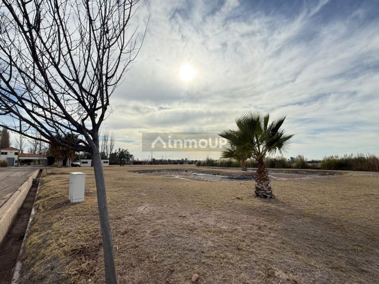 Lote en Venta en Maipu, Mendoza