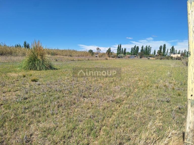 Lote en Venta en Maipu, Mendoza