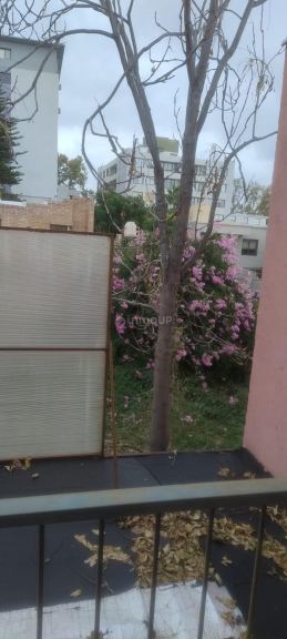 Departamento en Alquiler en Godoy Cruz, Mendoza
