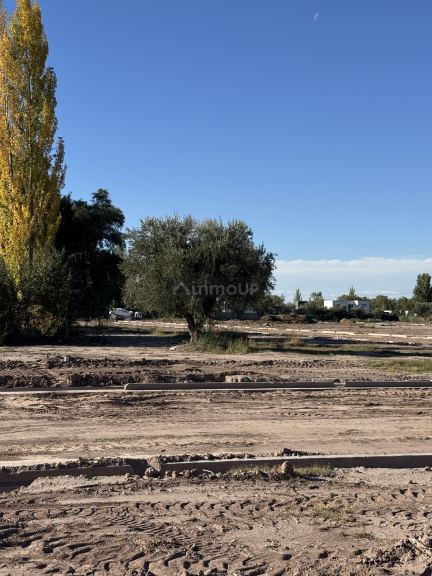 Lote en Venta en Lujan de Cuyo, Mendoza