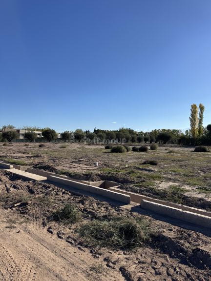 Lote en Venta en Lujan de Cuyo, Mendoza