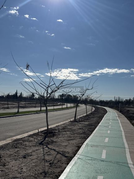 Lujan de Cuyo Viamonte