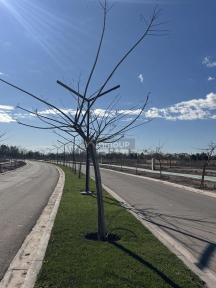 Lujan de Cuyo Viamonte