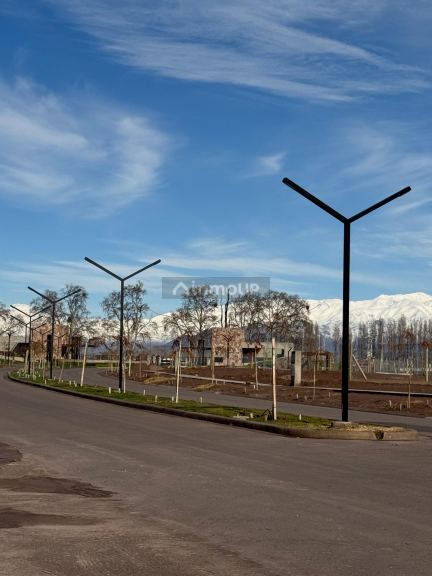 Lote en Venta en Lujan de Cuyo, Mendoza