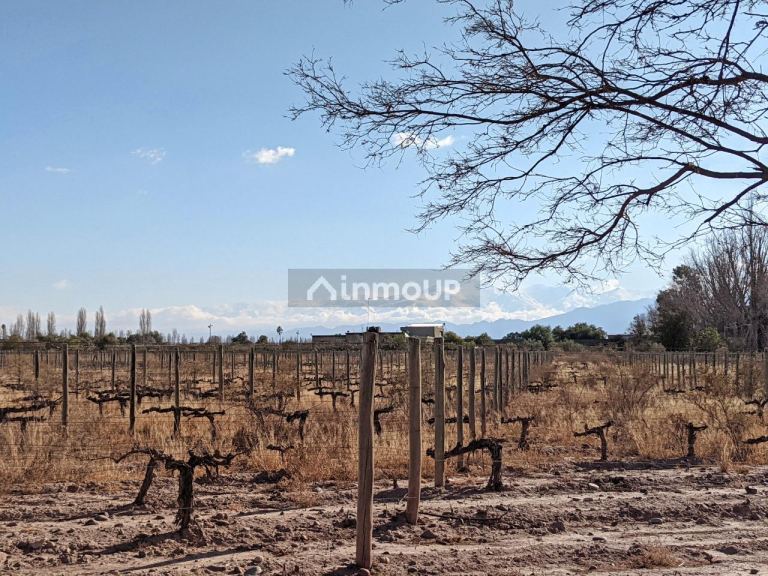 Terreno en Venta en Maipu, Mendoza