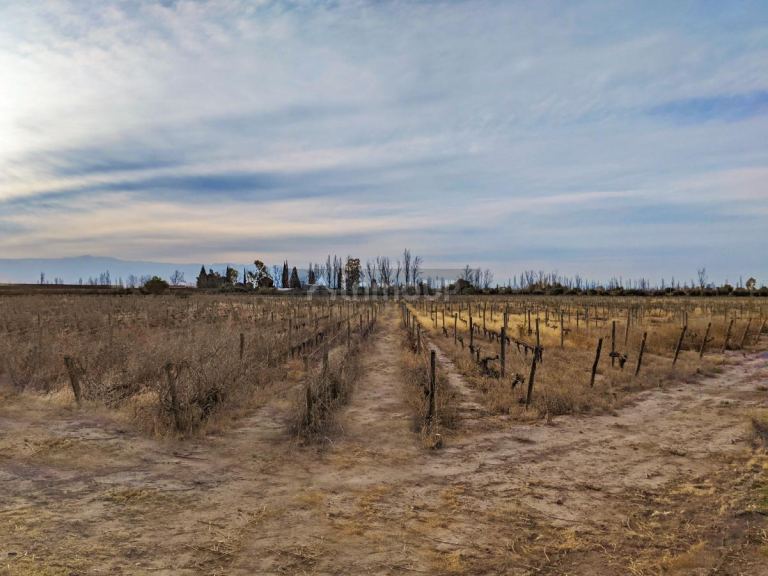 Terreno en Venta en Maipu, Mendoza