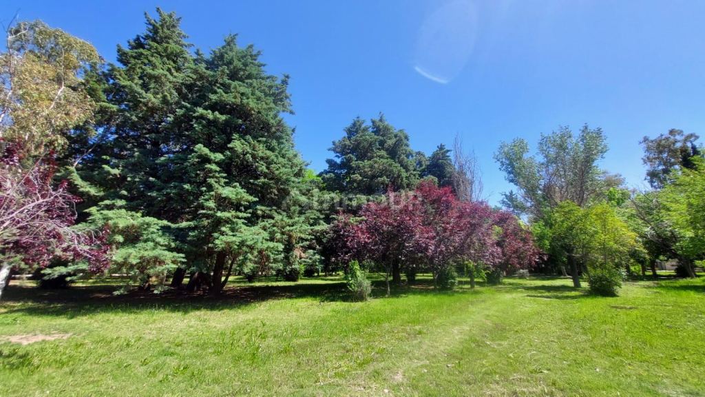 Lote en Venta en Maipu, Mendoza