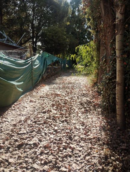 Terreno en Venta en Las Heras, Mendoza