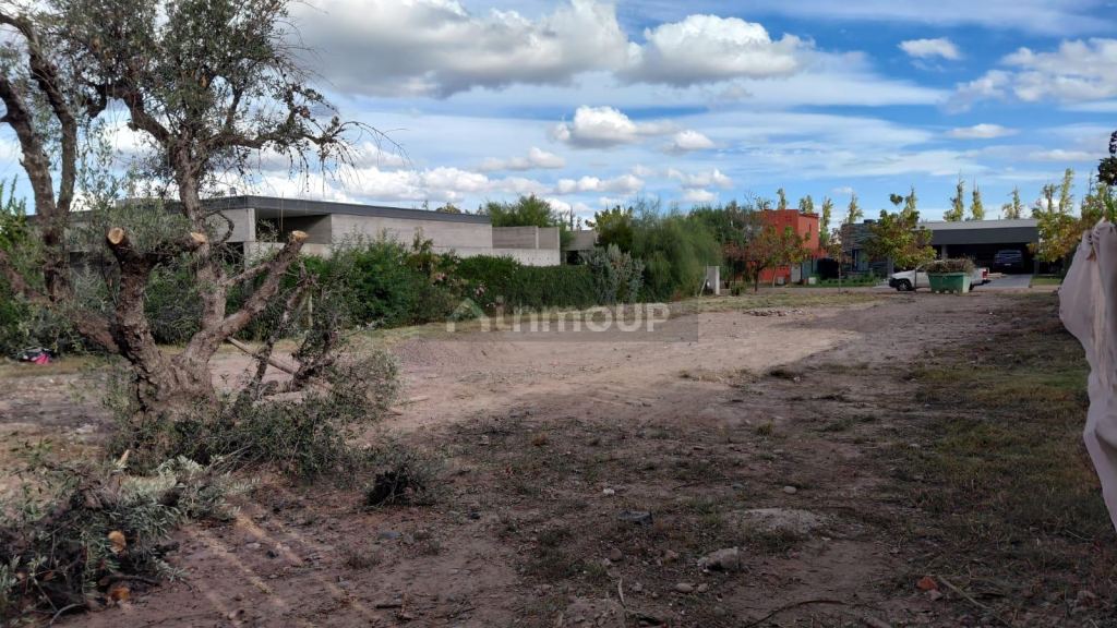 Lote en Venta en Lujan de Cuyo, Mendoza