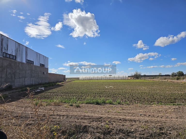 Lote en Venta en Maipu, Mendoza