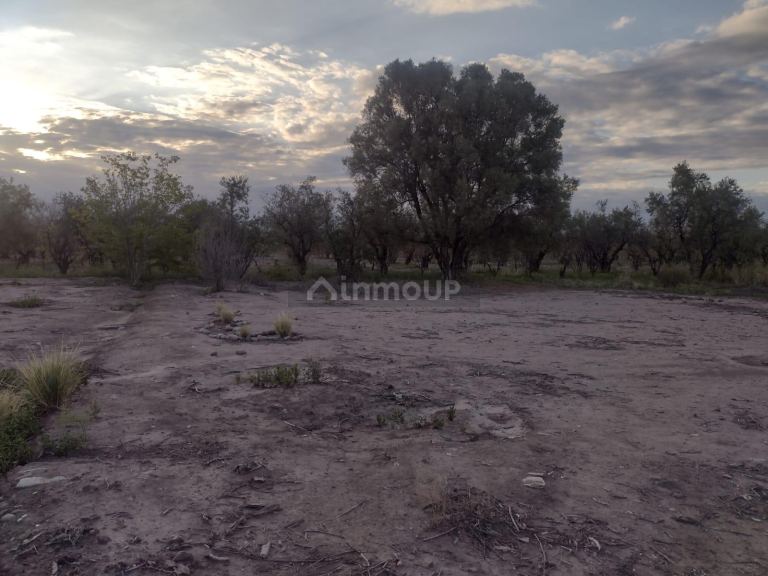 Lote en Venta en Maipu, Mendoza