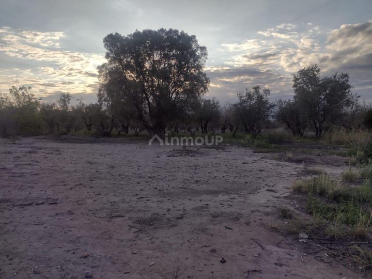Lote en Venta en Maipu, Mendoza