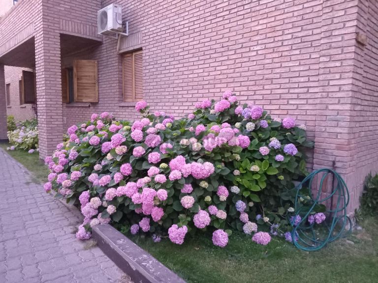 Departamento en Alquiler en Godoy Cruz, Mendoza