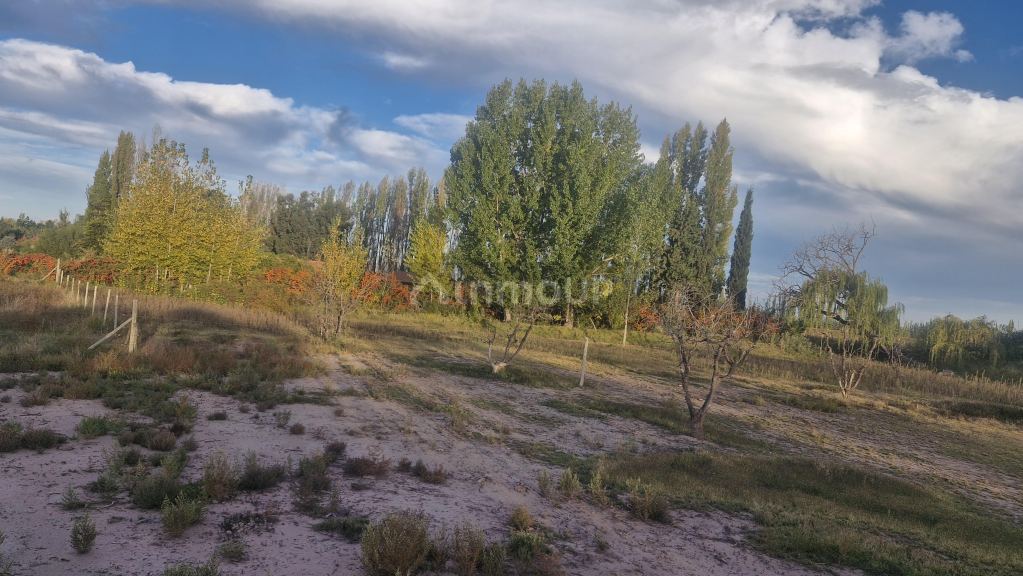 Lote en Venta en Lujan de Cuyo, Mendoza