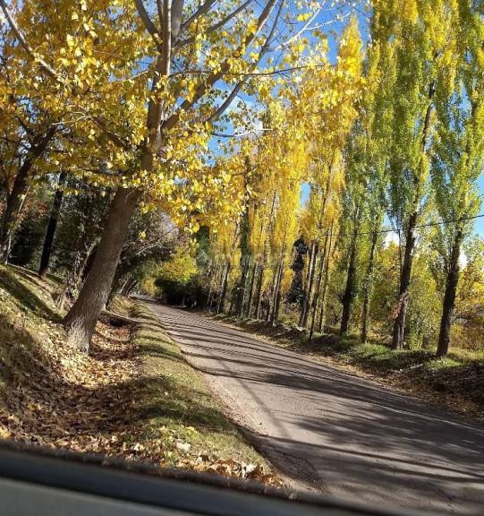 Lote en Venta en Lujan de Cuyo, Mendoza