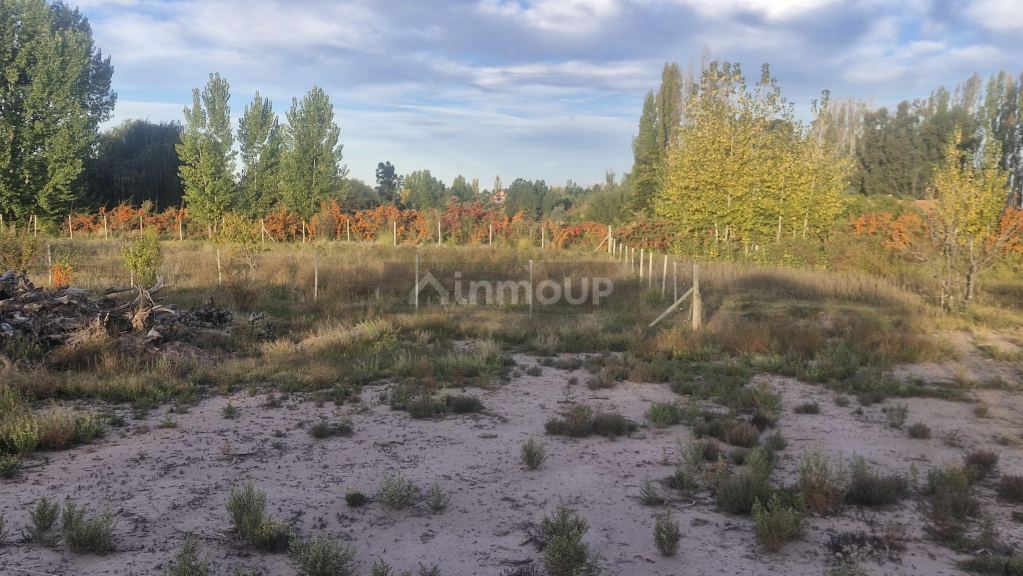 Lote en Venta en Lujan de Cuyo, Mendoza