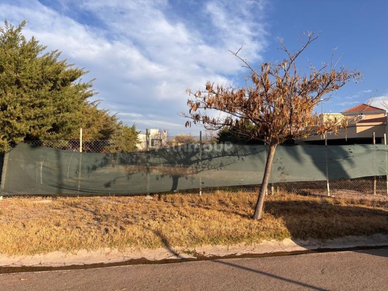 Lote en Venta en Lujan de Cuyo, Mendoza