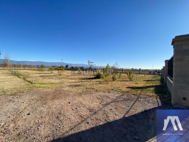 Terreno en Venta en Lujan de Cuyo, Mendoza