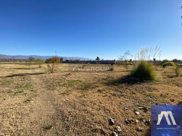 Terreno en Venta en Lujan de Cuyo, Mendoza