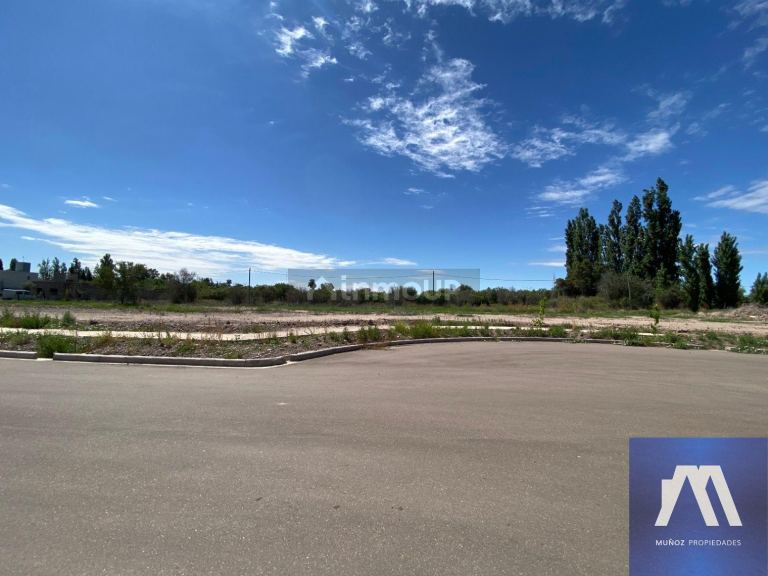 Terreno en Venta en Maipu, Mendoza