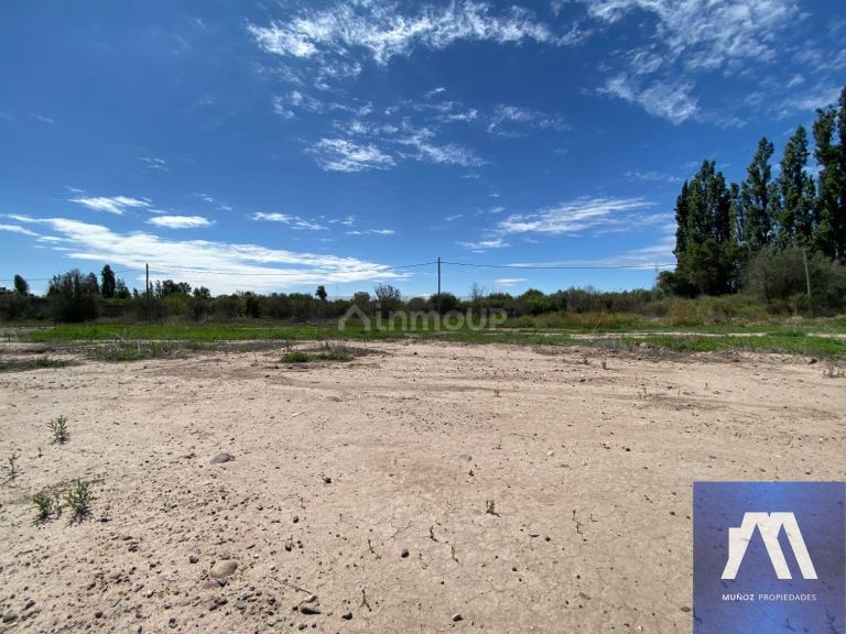 Terreno en Venta en Maipu, Mendoza