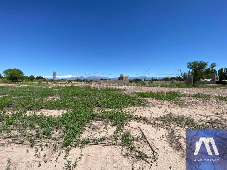 Terreno en Venta en Maipu, Mendoza