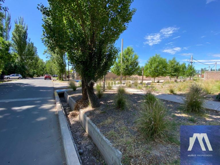 Terreno en Venta en Maipu, Mendoza