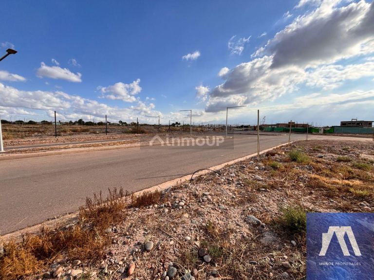 Terreno en Venta en Maipu, Mendoza
