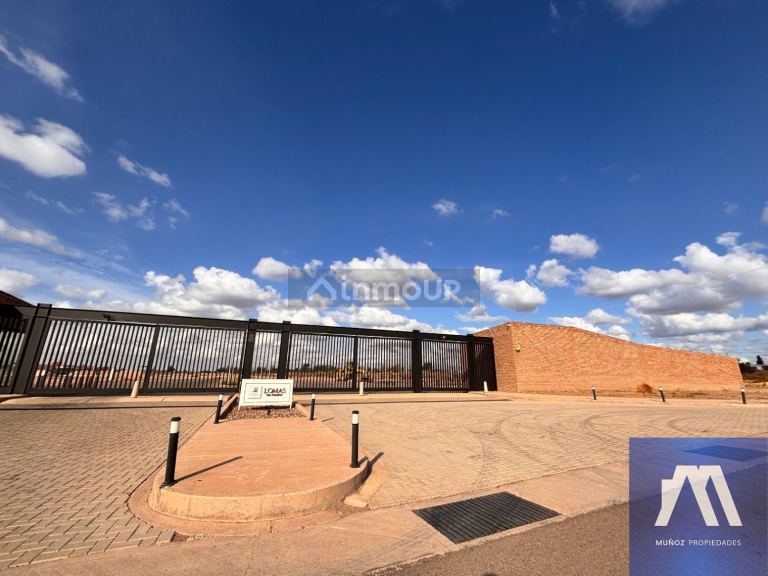 Terreno en Venta en Maipu, Mendoza